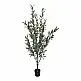 Διακοσμητικό φυτό Olive tree II σε γλάστρα Inart πράσινο pp Υ160εκ