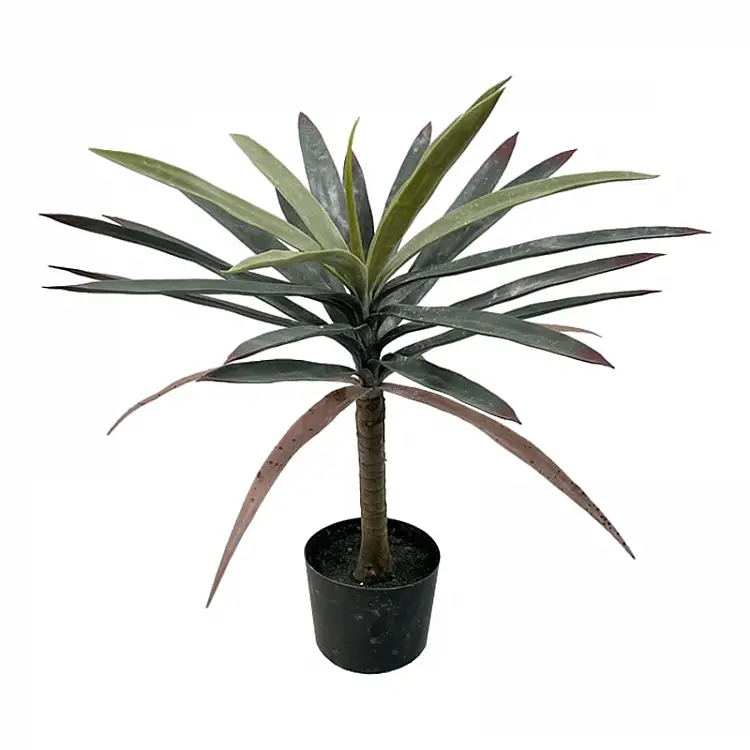 Διακοσμητικό φυτό Dracaena palm σε γλάστρα Inart πράσινο pp Υ62εκ