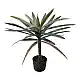 Διακοσμητικό φυτό Dracaena palm σε γλάστρα Inart πράσινο pp Υ62εκ