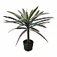 Διακοσμητικό φυτό Dracaena palm σε γλάστρα Inart πράσινο pp Υ62εκ