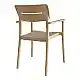 Πολυθρόνα Pilma pakoworld cappuccino PP 57x54x82εκ