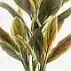 Διακοσμητικό φυτό σε γλάστρα Cycas Inart πράσινο Φ55x80εκ