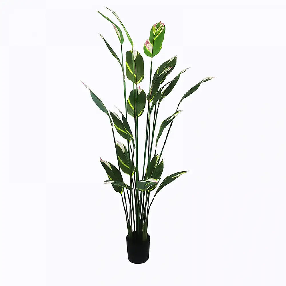 Διακοσμητικό φυτό σε γλάστρα Lucky I Inart πράσινο Φ80x210εκ