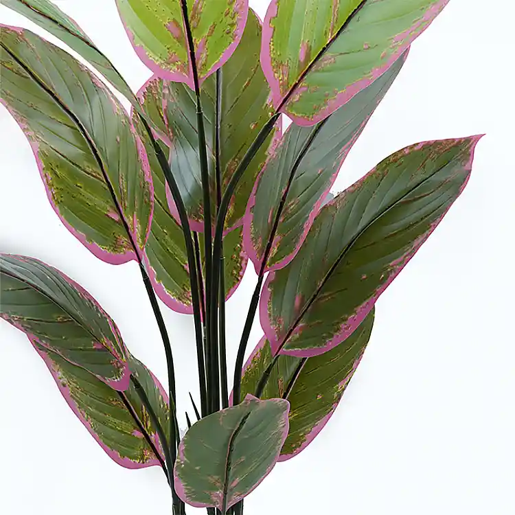 Διακοσμητικό φυτό σε γλάστρα Calathea Inart πράσινο Φ68x120εκ