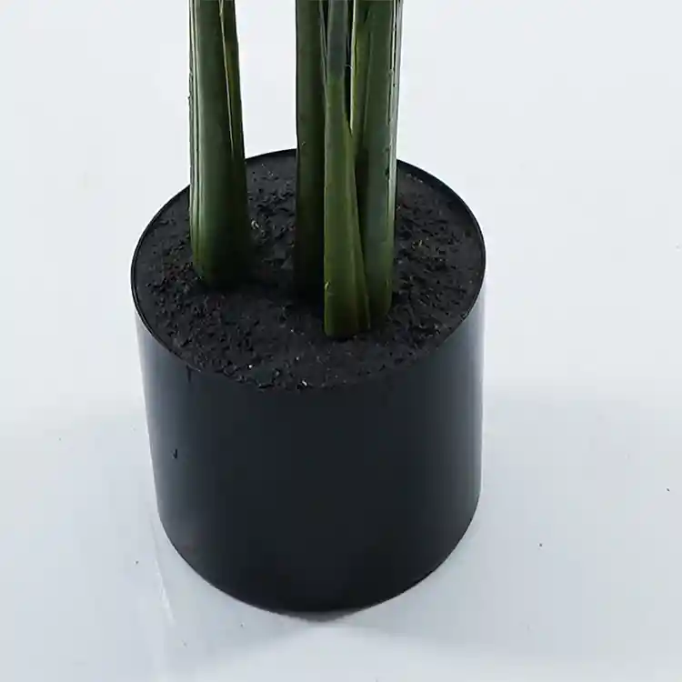 Διακοσμητικό φυτό σε γλάστρα Calathea Inart πράσινο Φ68x120εκ