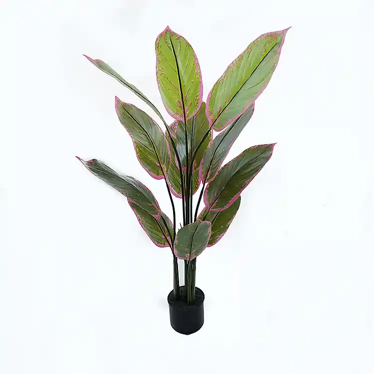Διακοσμητικό φυτό σε γλάστρα Calathea Inart πράσινο Φ68x120εκ