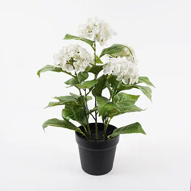 Διακοσμητικό φυτό σε γλάστρα Hydrangea Inart λευκό Φ35x50εκ