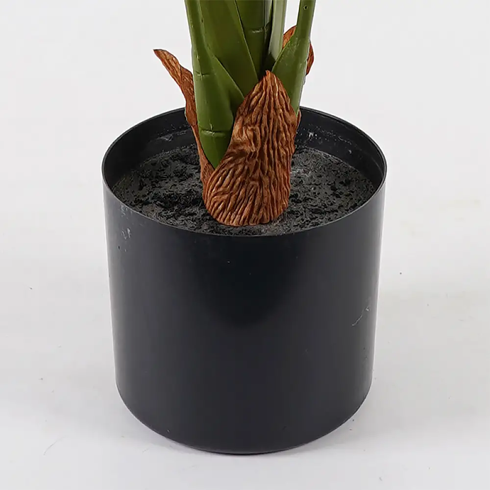 Διακοσμητικό φυτό σε γλάστρα Deliciosa Inart πράσινο Φ94x120εκ