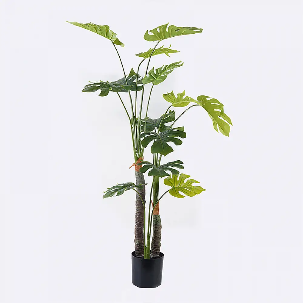 Διακοσμητικό φυτό σε γλάστρα Deliciosa I Inart πράσινο Φ90x160εκ