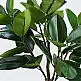 Διακοσμητικό φυτό σε γλάστρα Ficus Lyrata Inart πράσινο Φ70x130εκ