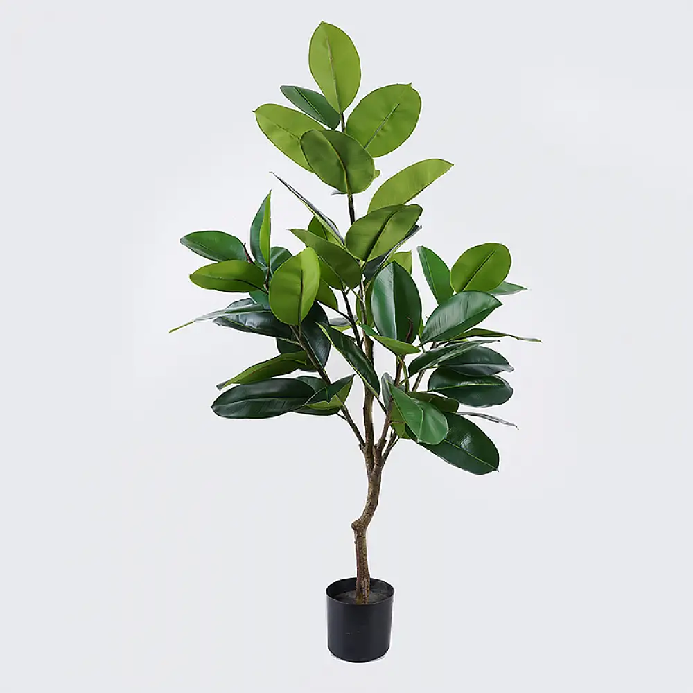 Διακοσμητικό φυτό σε γλάστρα Ficus Lyrata Inart πράσινο Φ70x130εκ