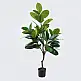 Διακοσμητικό φυτό σε γλάστρα Ficus Lyrata Inart πράσινο Φ70x130εκ