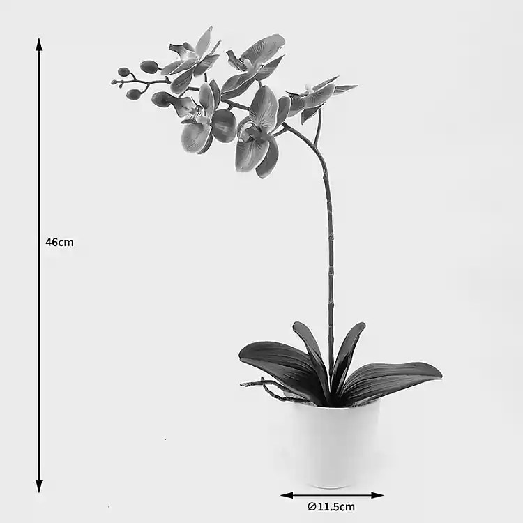 Διακοσμητικό φυτό σε γλάστρα Οrchid Beauty Inart 30x13x46εκ