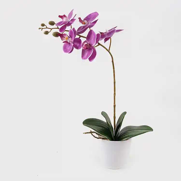 Διακοσμητικό φυτό σε γλάστρα Οrchid Beauty Inart 30x13x46εκ
