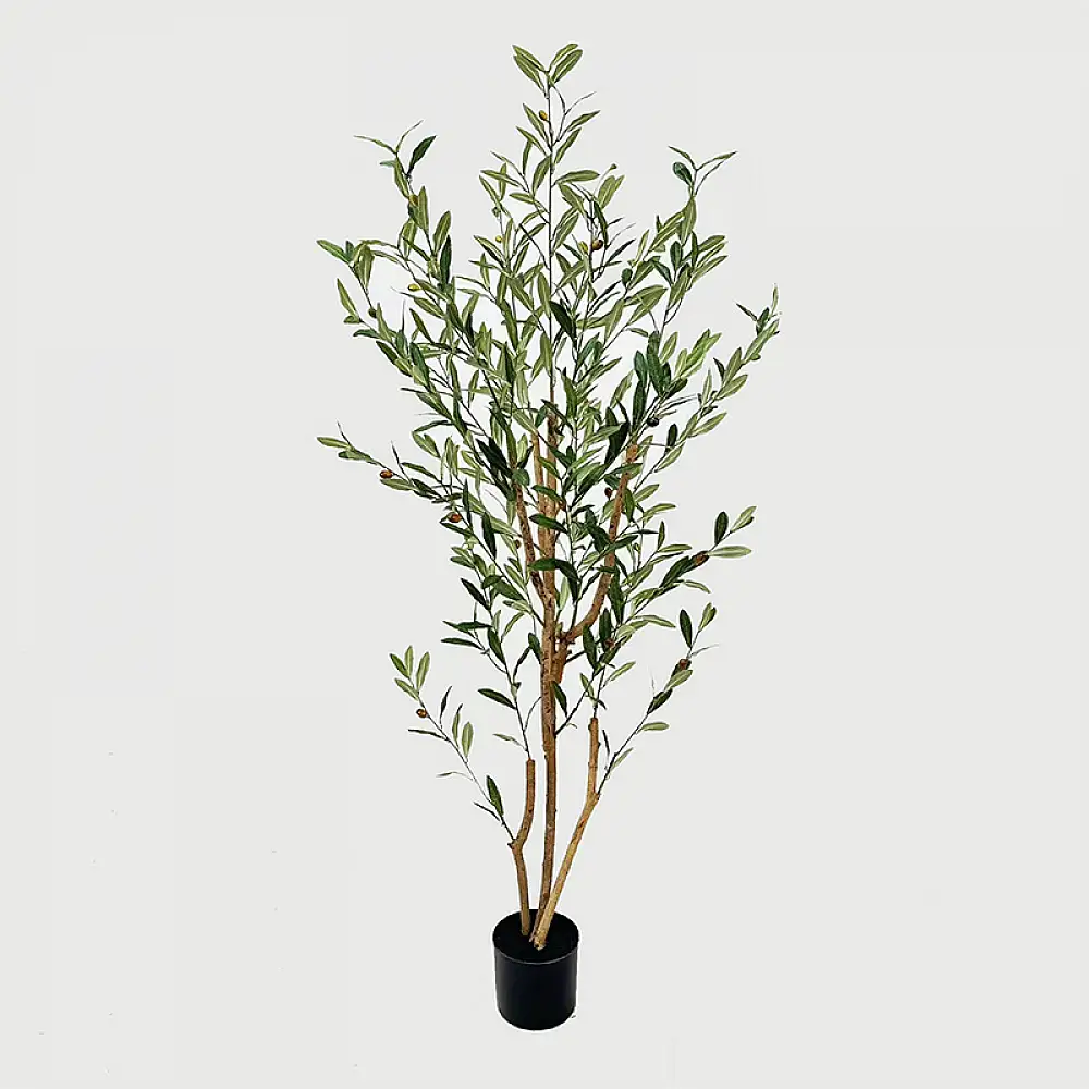 Διακοσμητικό φυτό σε γλάστρα Olia Inart πράσινο 65x55x180εκ