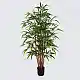 Διακοσμητικό φυτό σε γλάστρα Rhapis Palm Inart πράσινο Φ80x180εκ