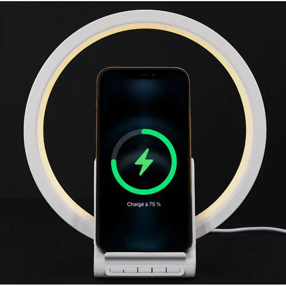 Ασύρματο Ηχείο 5W με Επαγωγικό Φορτιστή  HT0113 Be Mix