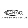 Ankor