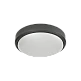 it-Lighting Echo LED 15W 3CCT Outdoor Ceiling Light Anthracite D:21cmx6cm (80300240) it-Lighting Echo LED 15W 3CCT Outdoor Ceiling Light Anthracite D:21cmx6cm (80300240)
