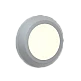 it-Lighting Jocassee LED 3.5W 3CCT Outdoor Wall Lamp Grey D:15cmx2.7cm (80201430)