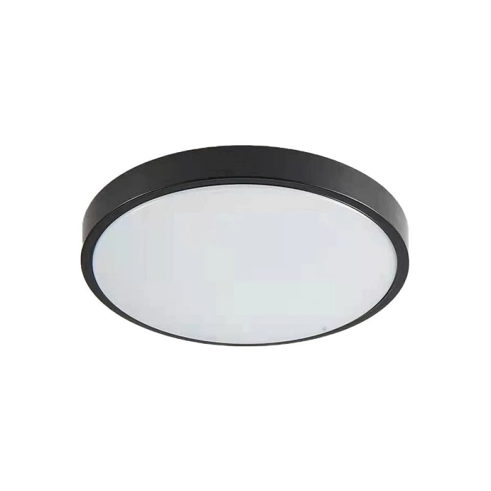 it-Lighting Torch LED 18W 3CCT Outdoor Ceiling Light Anthracite D:28cmx5,3cm (80300340)